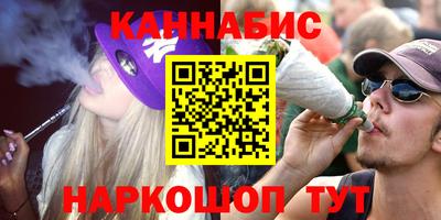 молекула духа Будённовск