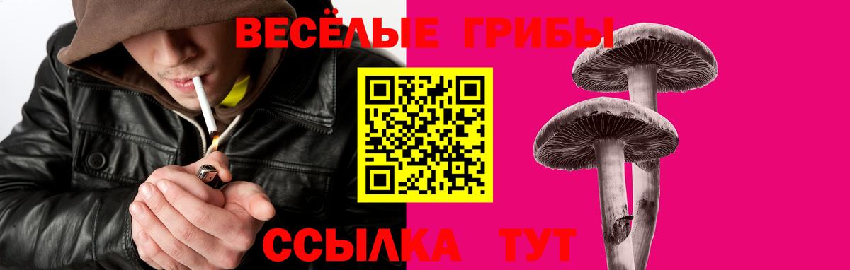 Галлюциногенные грибы мухоморы  Вход с VPN  Зеленокумск  Псилоцибиновые грибы ЛСД 